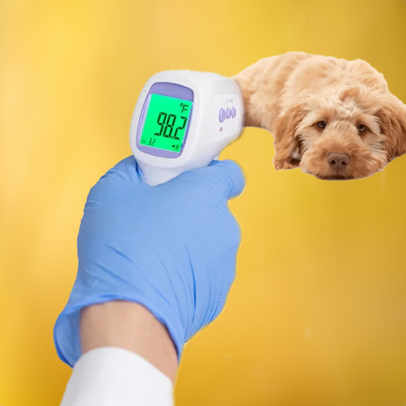 Contactless Infrared Dog Thermometer — One-Click Fast Reading