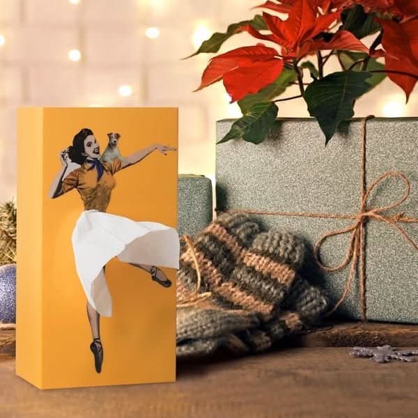 TISSUDANCE – Playful Rock Tissue Box for Creative Home Decoration | ventumra