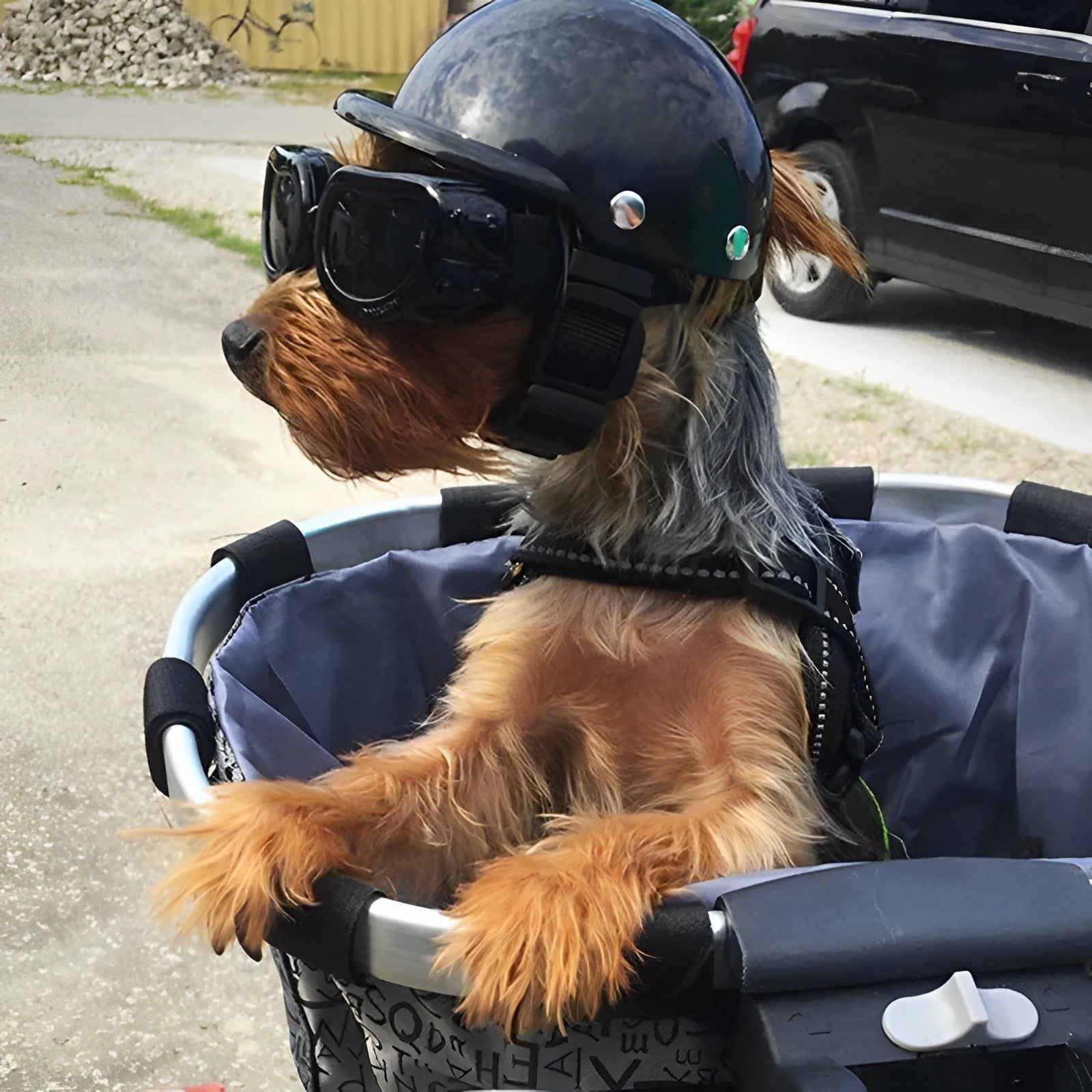 TrailPup Dog Helmet & Goggles Set for Secure Motorcycle Rides | ventumra