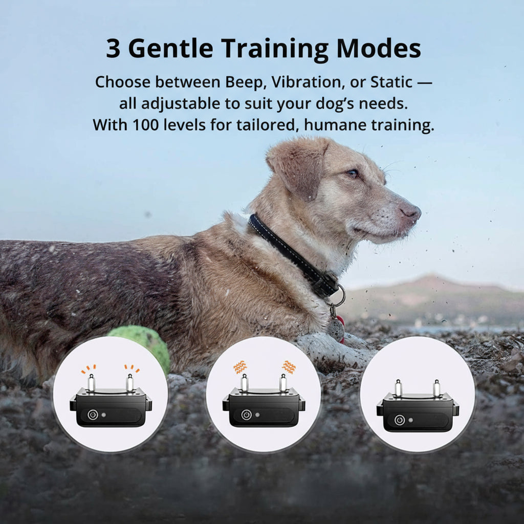 1km Waterproof Dog Training Collar | ventumra