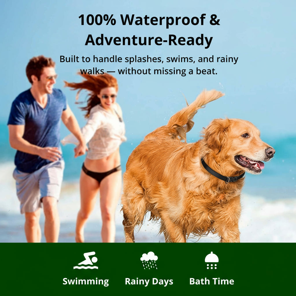 1km Waterproof Dog Training Collar | ventumra