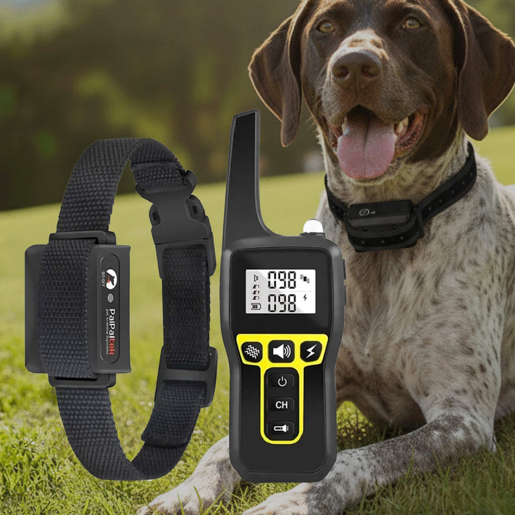 1km Waterproof Dog Training Collar | ventumra