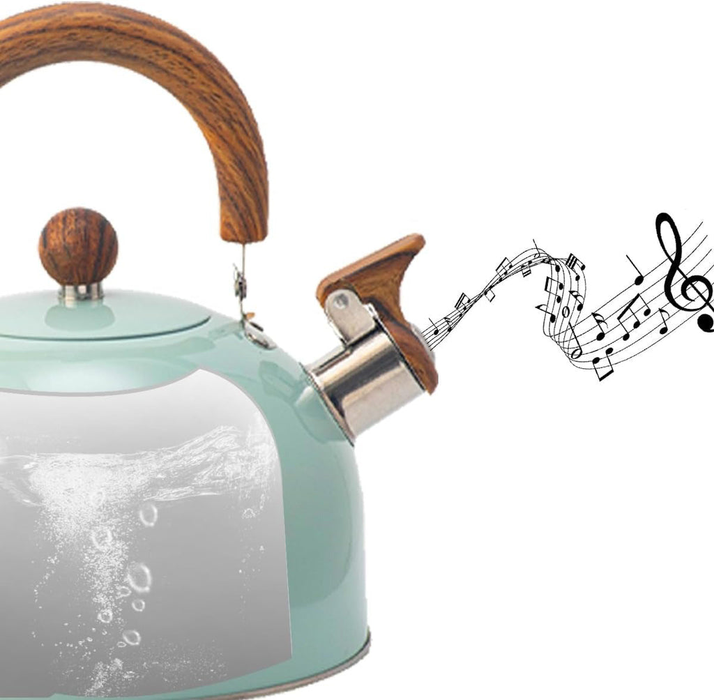 Adjustable Stainless Steel Kettle With Whistle 2.5L/3L | ventumra