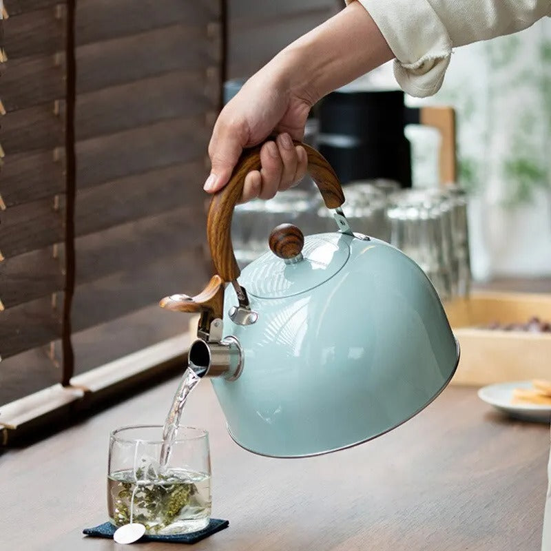 Adjustable Stainless Steel Kettle With Whistle 2.5L/3L | ventumra