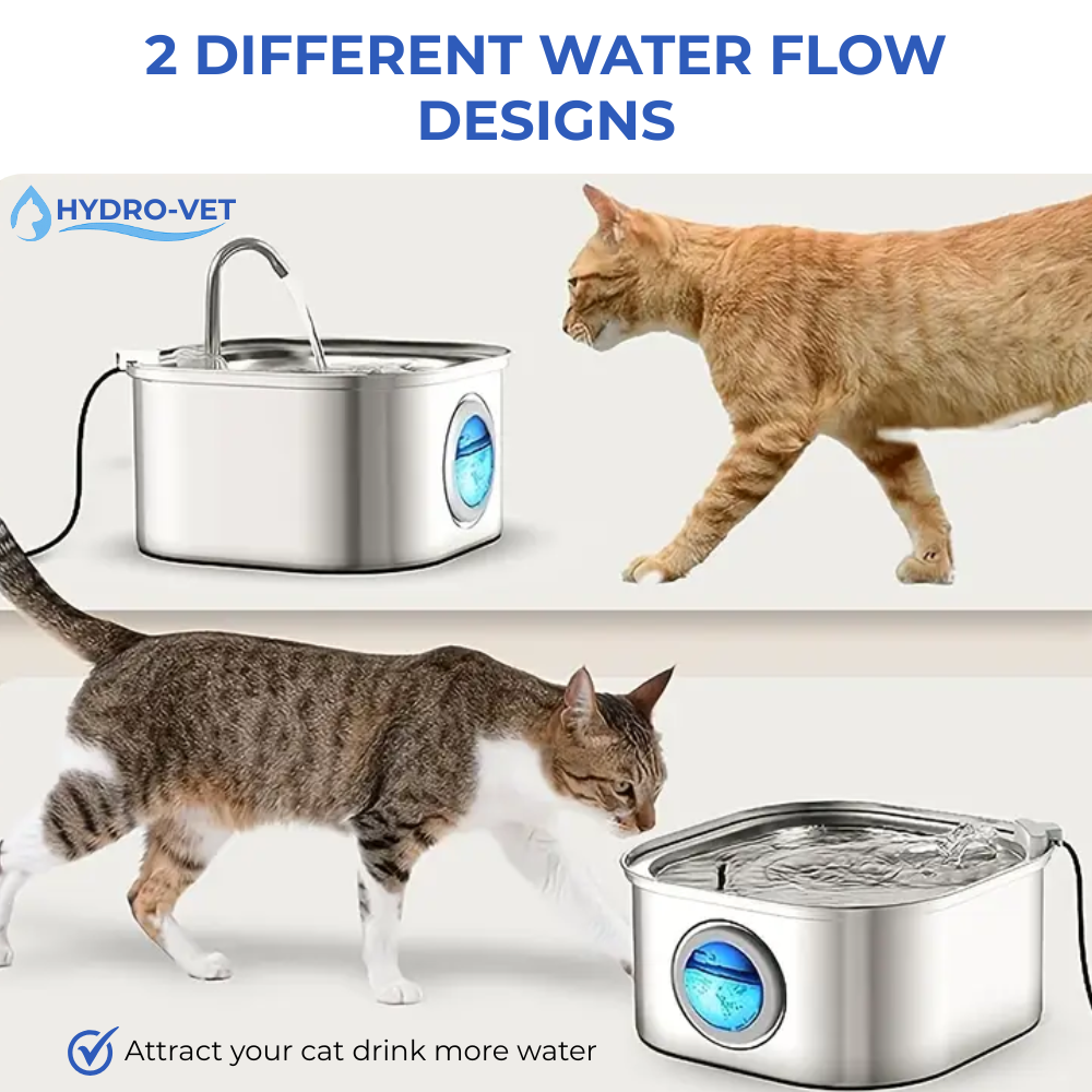 AquaSoft Whisper Quiet Pet Drinking Fountain – 3.2L with LED, Stainless Steel & 5-Stage Filtration | ventumra