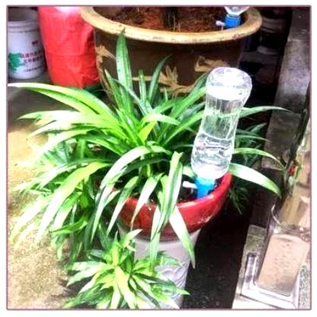 Automatic Plant Watering Spikes – Adjustable Flow Garden Aid | ventumra