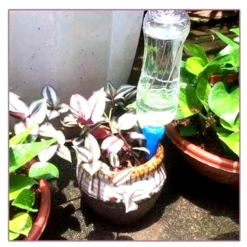 Automatic Plant Watering Spikes – Adjustable Flow Garden Aid | ventumra