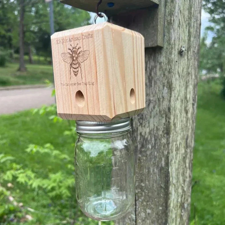 Best Carpenter Bee Trap | ventumra