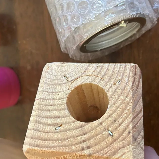 Best Carpenter Bee Trap | ventumra