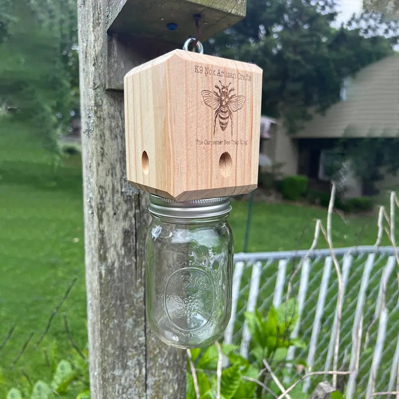 Best Carpenter Bee Trap | ventumra