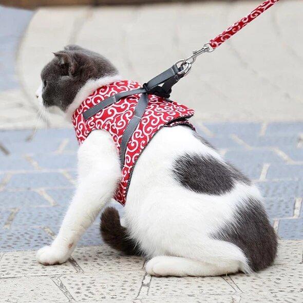 Bestseller: Anti-Breakout Cat Harness | ventumra