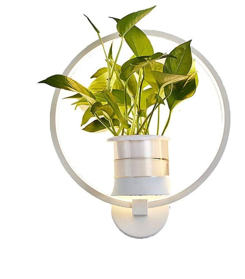 Greenery Wall Lamp with Integrated Planter | ventumra