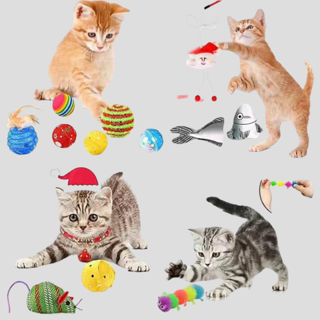 Cat Toy Advent Calendar 24-Day Surprise Countdown | ventumra