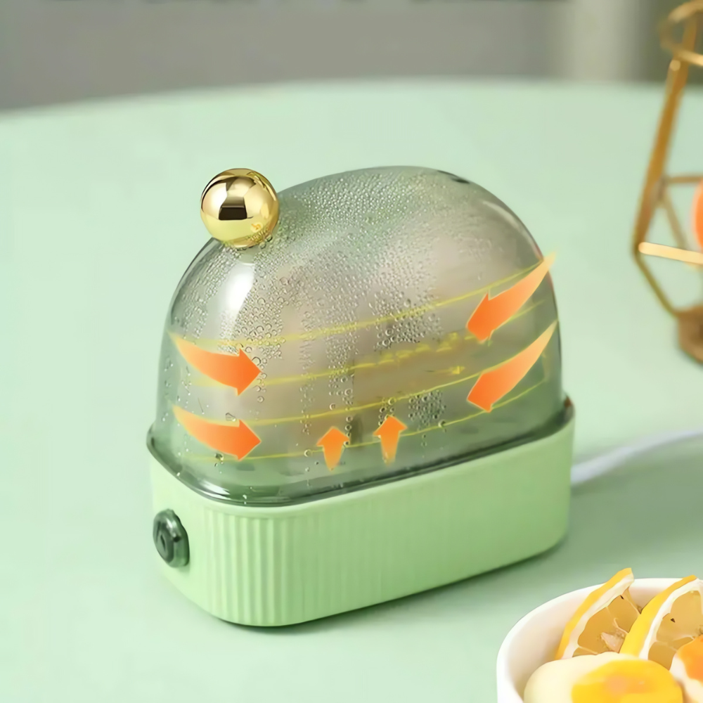 Compact Electric Egg Cooker for 2 Eggs | ventumra