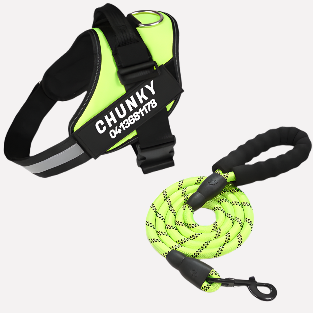 Customizable Anti-Pull Dog Harness | ventumra