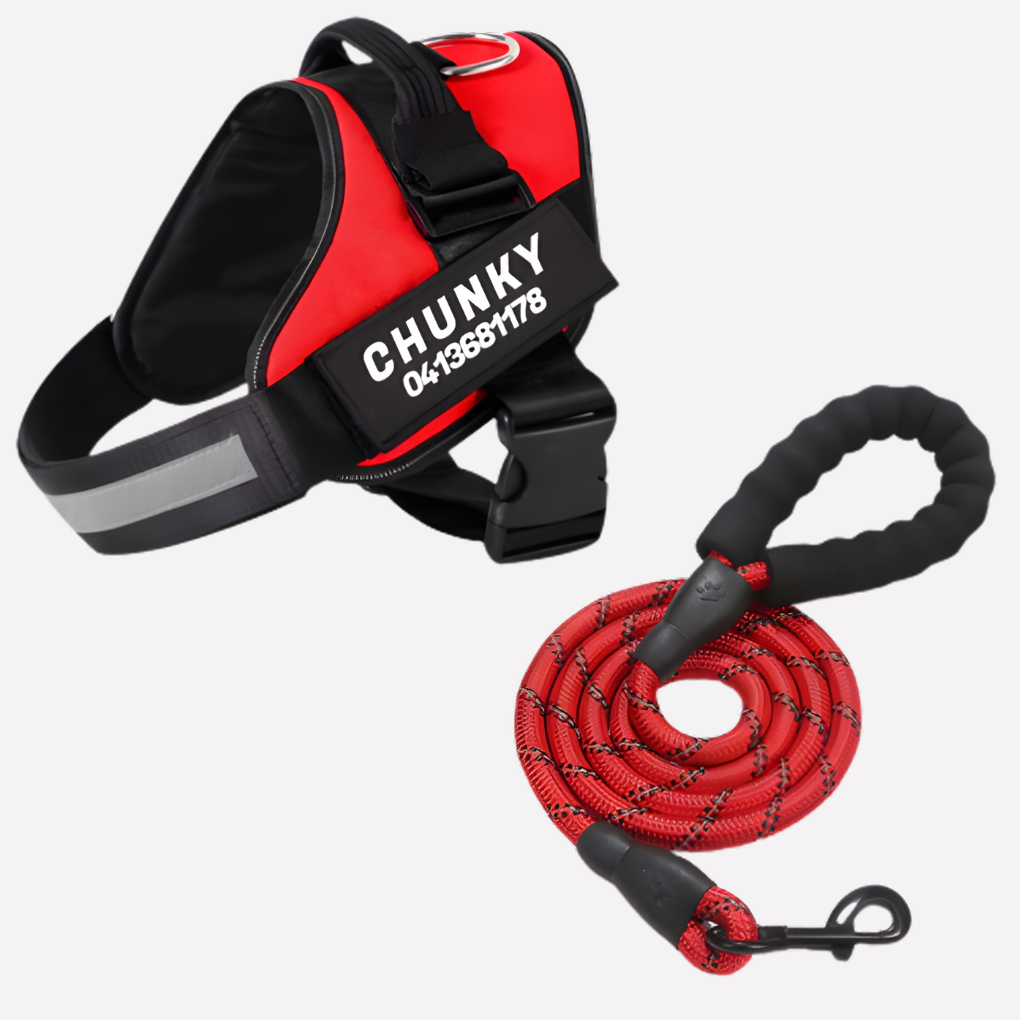 Customizable Anti-Pull Dog Harness | ventumra