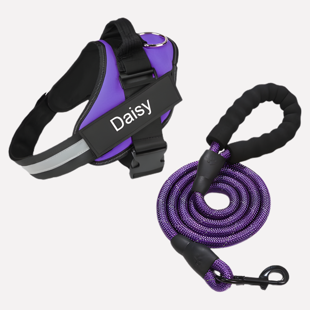 Customizable Anti-Pull Dog Harness | ventumra