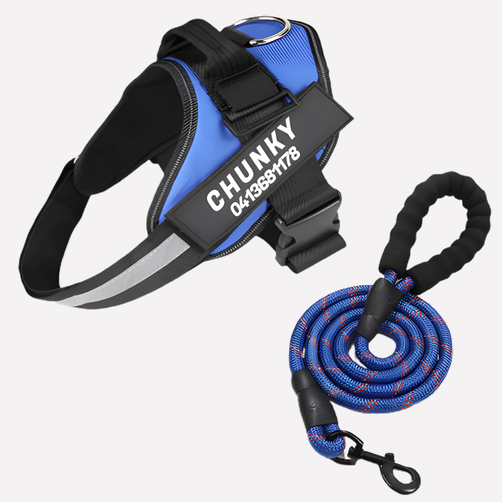 Customizable Anti-Pull Dog Harness | ventumra