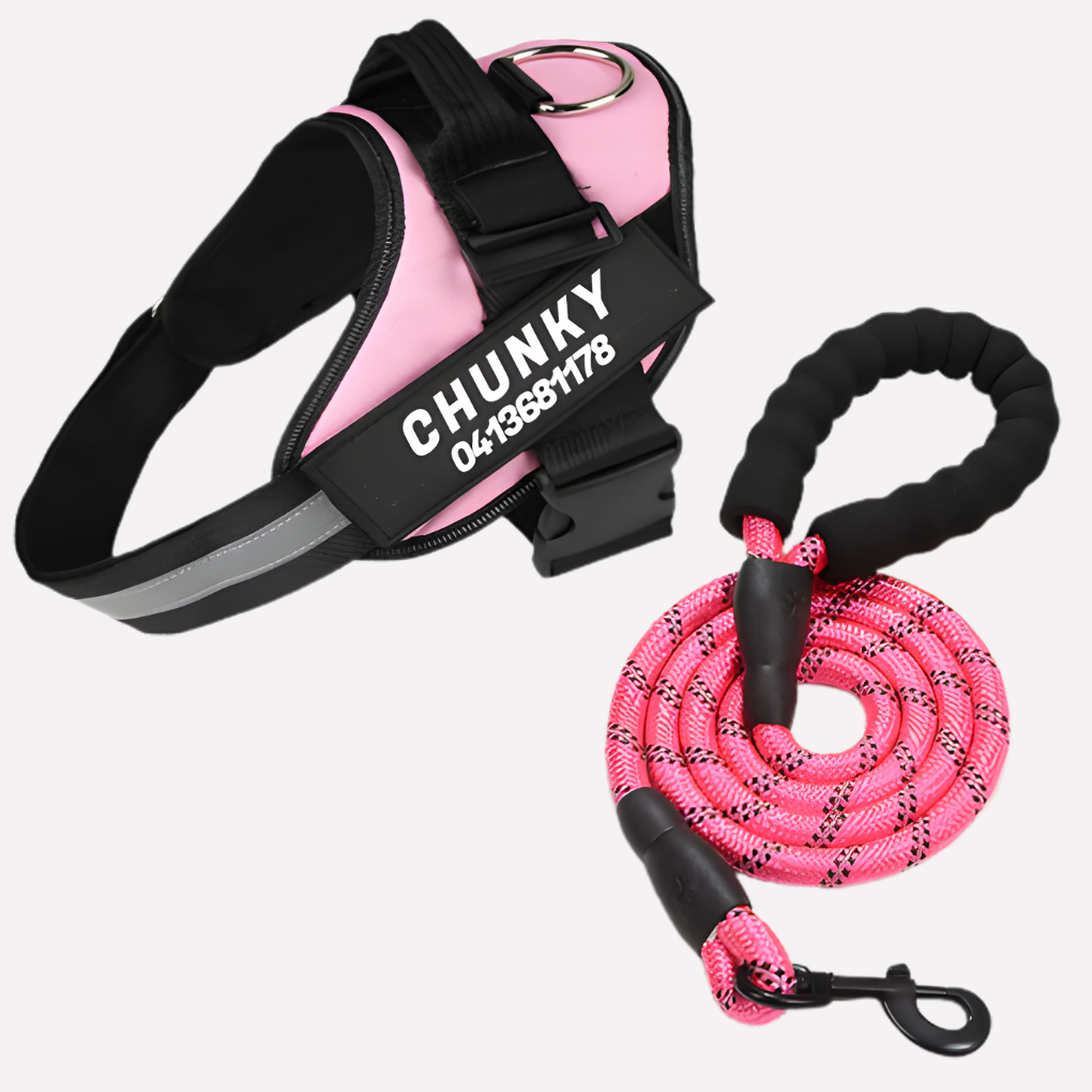 Customizable Anti-Pull Dog Harness | ventumra