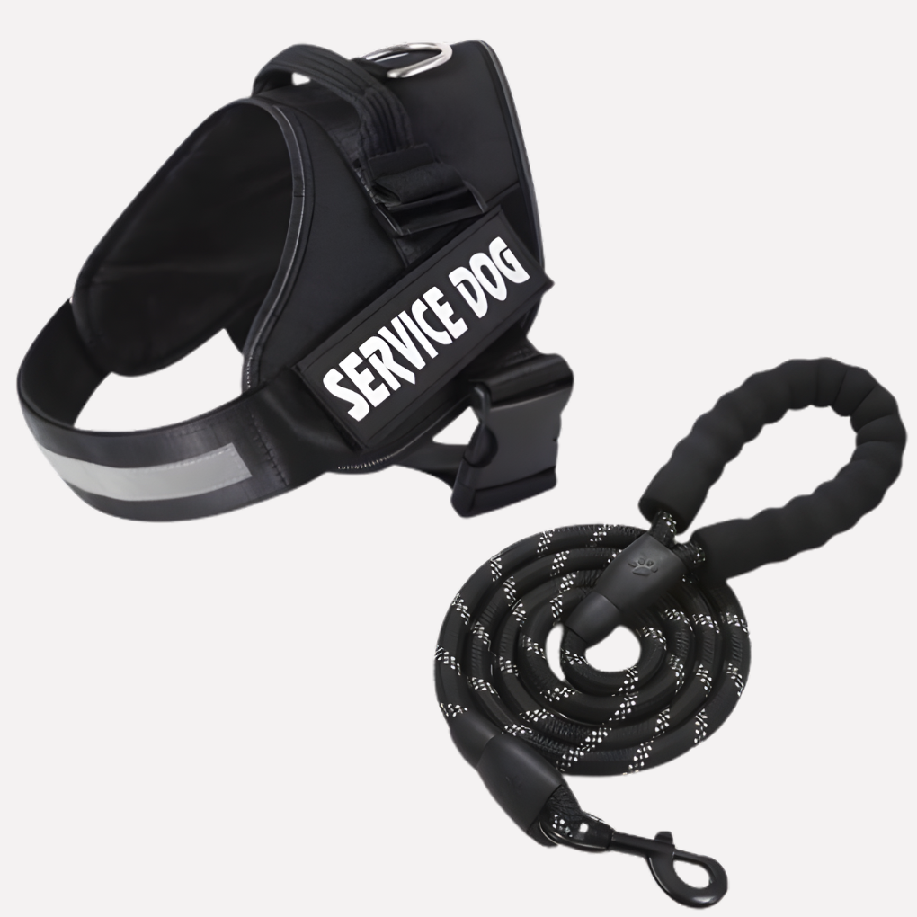 Customizable Anti-Pull Dog Harness | ventumra