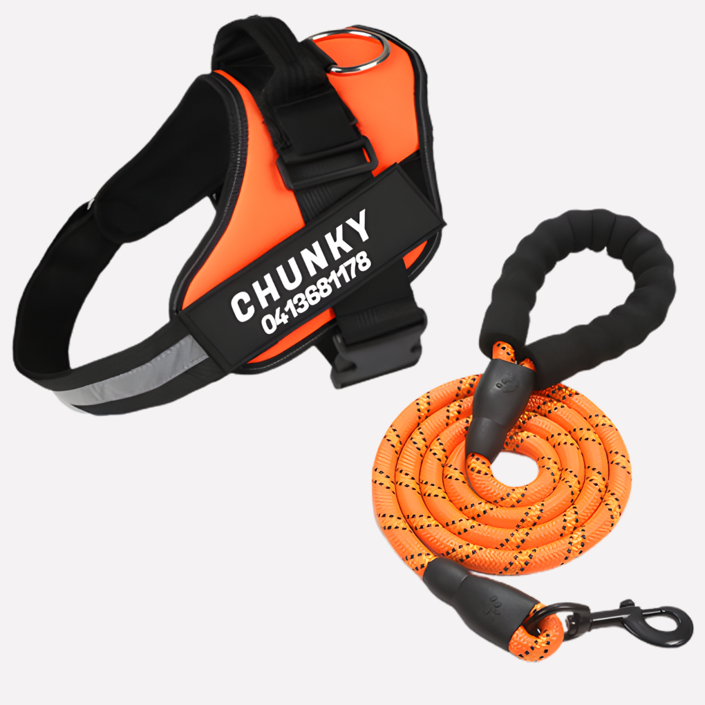 Customizable Anti-Pull Dog Harness | ventumra