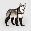 Dog Protective Paw Booties | ventumra