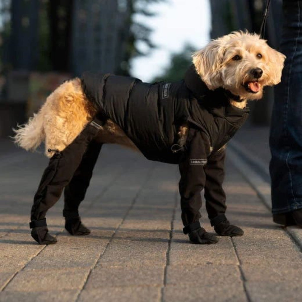 Dog Protective Paw Booties | ventumra