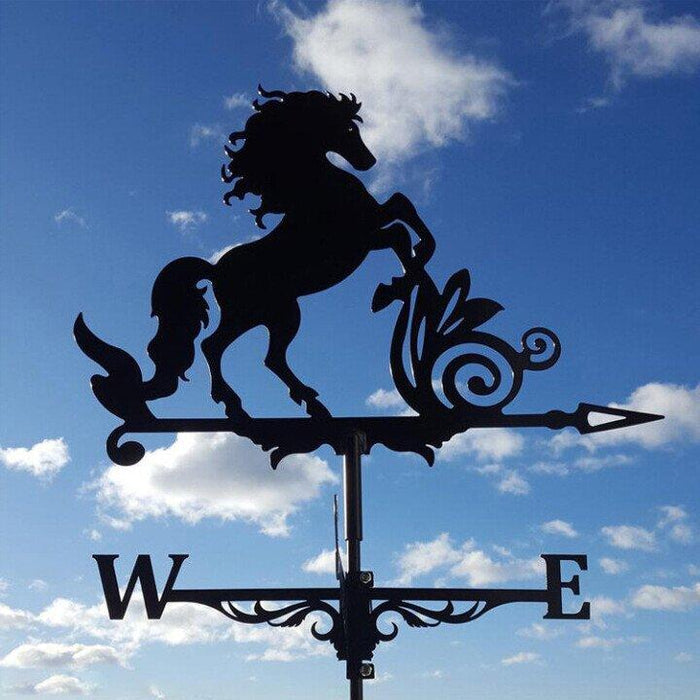 Eccentric Weather Vane for the Garden – Vintoro | ventumra