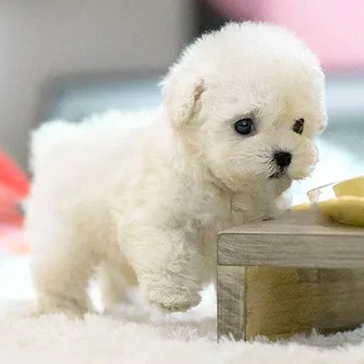 Responsive Plush Puppy Toy - Fun for All Ages | ventumra