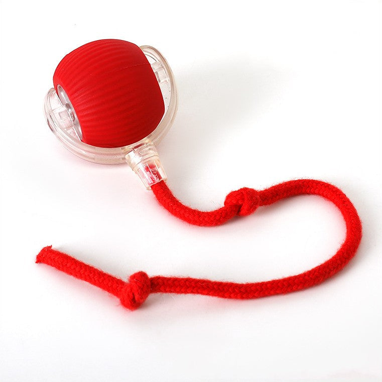Interactive Rolling Ball Toy with Tail for Dogs | ventumra