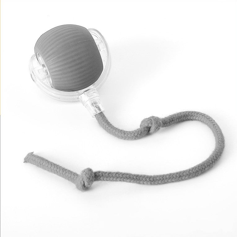 Interactive Rolling Ball Toy with Tail for Dogs | ventumra