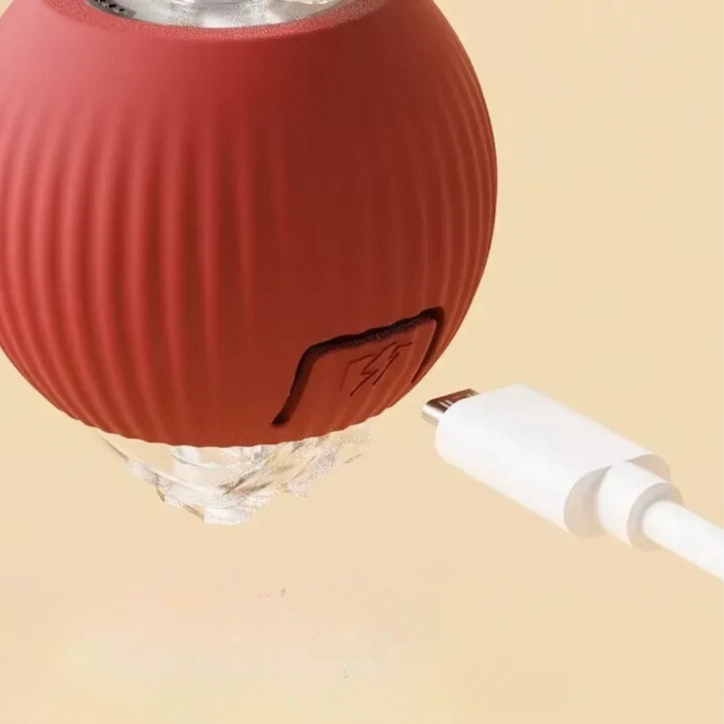 Interactive Rolling Ball Toy with Tail for Dogs | ventumra