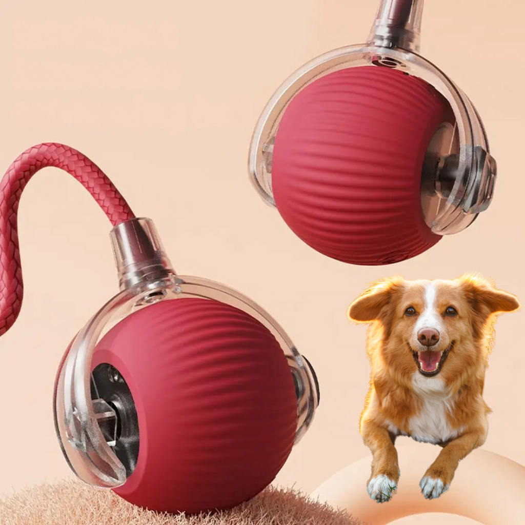 Interactive Rolling Ball Toy with Tail for Dogs | ventumra