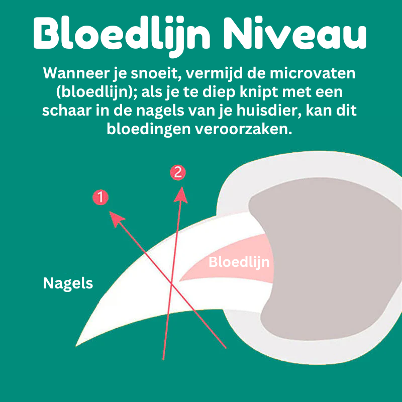 MAX - Best nail clipper for dogs with quick sensors | ventumra