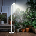 MistyJungle Full Spectrum LED Grow Light for Indoor Plants Floor Stand, Timer, Dimmable, 60" Adjustable | ventumra