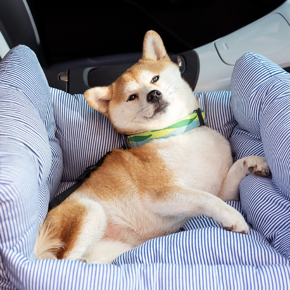 Pet Seter - Road Trip Pet Booster | ventumra