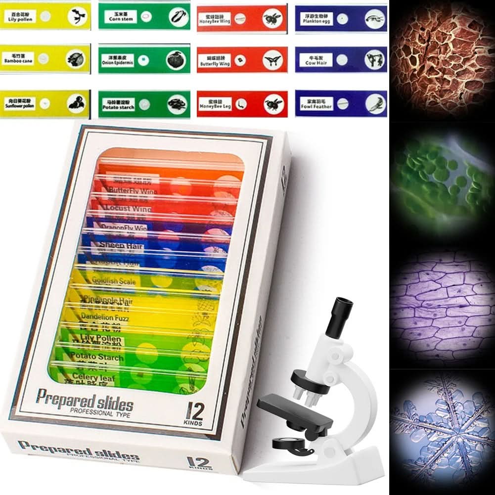Portable Microscope for Young Explorers | ventumra