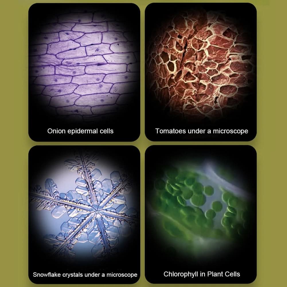 Portable Microscope for Young Explorers | ventumra