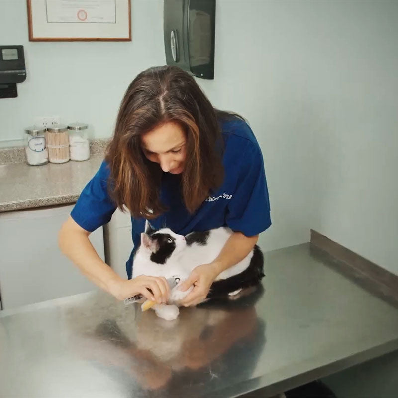 Premium Dog Clipper with Safety Sensor | ventumra