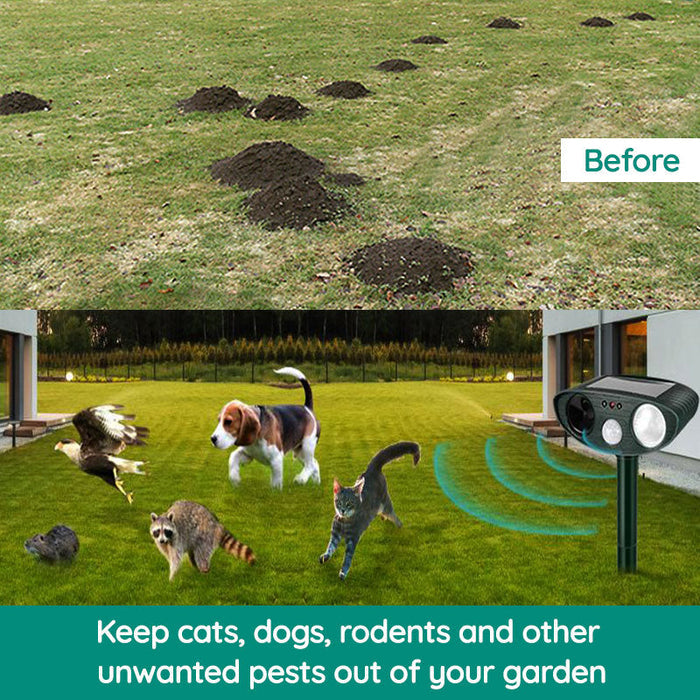 Raccoon Outdoor Ultrasonic Repeller - Solar-Powered Ultrasonic Animal and Pest Deterrent - Get Rid of Raccoons Within 48 Hours | ventumra