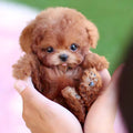 Robot Puppy Toy Walks, Barks, and Responds | ventumra