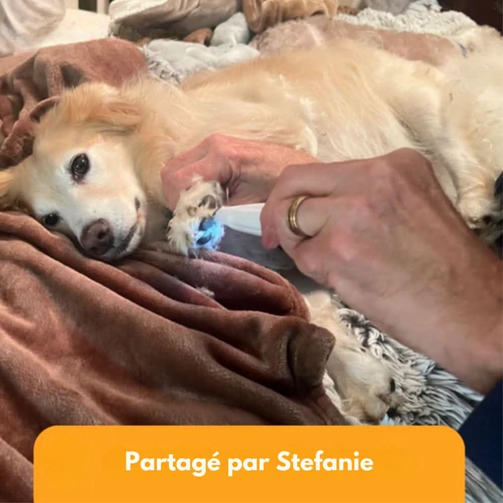 SilentPet Trimmer – Silent fur trimmer for sensitive areas on dogs & cats | ventumra