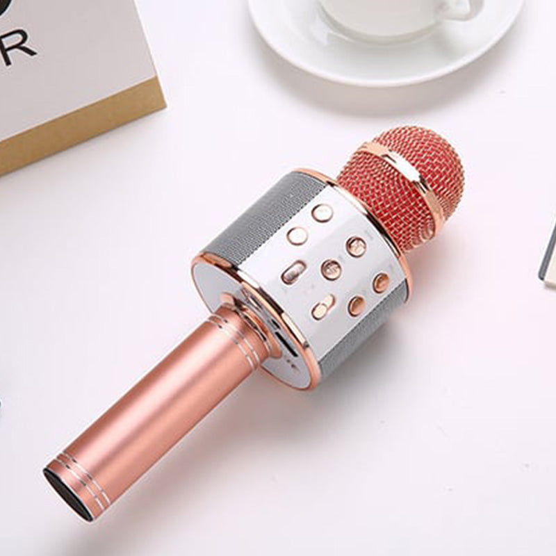 Sing Anywhere: The ultimate wireless karaoke microphone! | ventumra