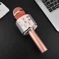 Sing Anywhere: The ultimate wireless karaoke microphone! | ventumra