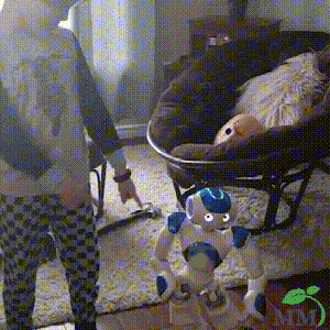 Smart Robot Toy for Kids ThinkBot Interactive Learning Robot Gesture Control Dancing & Talking Rechargeable | ventumra