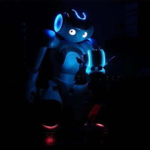 Smart Robot Toy for Kids ThinkBot Interactive Learning Robot Gesture Control Dancing & Talking Rechargeable | ventumra
