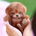 SnugglePup – Realistic Plush Puppy with Lifelike Details | ventumra