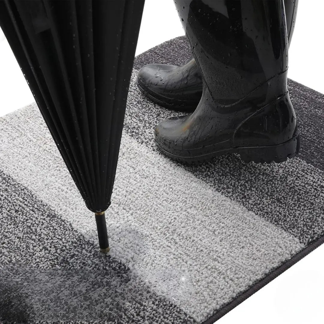 Washable Door Mat for Entrances with Water-Absorbing Design | ventumra
